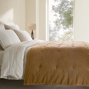 Παπλωμα από βαμβακερό βελούδο, Parma