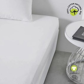 Τοποθετημένο κάτω φύλλο TODAY Λευκό 180 x 200 cm