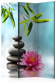 Διαχωριστικό με 3 τμήματα - Water Lily and Zen Stones [Room Dividers] 135x172