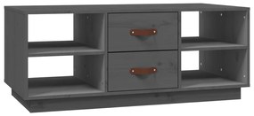 vidaXL Τραπεζάκι Σαλονιού Γκρι 100x50x41 εκ. Μασίφ Ξύλο Πεύκου
