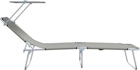 vidaXL Ξαπλώστρα 2 pcs Γκρι 58 x 188 x 77 εκ. Πολυεστέρας