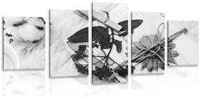 Συλλογή εικόνων 5 μερών από παλιά φύλλα σε ασπρόμαυρο