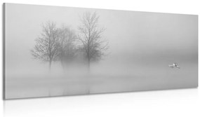 Φανταστείτε τα δέντρα στην ομίχλη σε μαύρο και άσπρο - 100x50