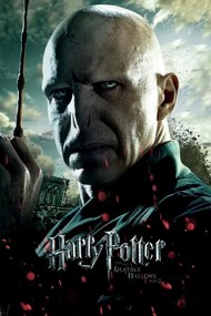 Εκτύπωση τέχνης Voldemort, (26.7 x 40 cm)