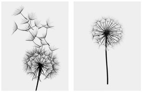 Canvas 2 piece set MDF Dandelion  60x40x2,7  cm.