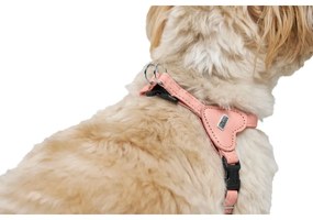 Λουρί Σκύλου Hunter SOHO MINI Ροζ XS/S