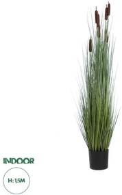 Τεχνητό Διακοσμητικό Φυτό Γρασίδι Τύφας Artificial Garden TYPHA ANGUSTIFOLIA GRASS 20113 Globostar-20113-Πράσινο 20113