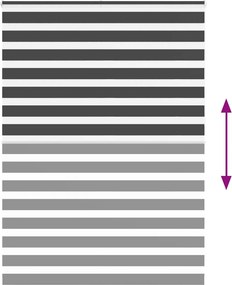 vidaXL Ζέβρα τυφλή Μαύρο Πλάτος υφάσματος 160,9 εκ. Πολυεστέρας