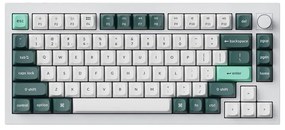 Wireless Keyboard Keychron Q1 HE RGB Nebula Magnetic Switch (white) &#91;Q1H-P1&#93;