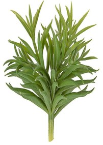 Τεχνητό Φυτό Succelent PT3650 58.4x54.2cm Green Present Time Plastic