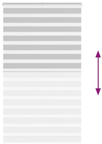 Ζέβρα τυφλή Ανοιχτό Γκρι Πλάτος υφάσματος 115,9 εκ. Πολυεστέρας - Γκρι