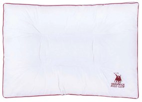 ΑΝΑΤΟΜΙΚΟ ΜΑΞΙΛΑΡΙ ΥΠΝΟΥ 50x70cm GREENWICH POLO CLUB - ESSENTIAL 2349