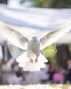 Σετ των 2 Intra Συλλεκτικό Ξύλινο Παζλ Plywood 4mm - Λευκό Περιστέρι σε πτήση σε εκδήλωση ή γιορτή Σε Ξύλινο Κουτί - Διαστάσεις: 10x10 cm – 25 κομμάτια