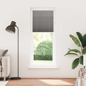 vidaXL Πλισέ περσίδα Ανθρακί 75x200 cm Πλάτος υφάσματος 74,4 cm