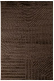 Χαλί Elio 02251-580 Brown Merinos 200X290cm