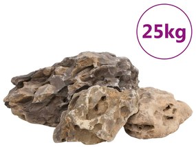 vidaXL Πέτρες Dragon Stones Γκρι 25 κιλά 10-40 εκ.