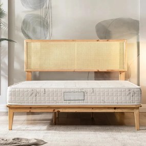 Stewehome Οικονομικό Στρώμα Αφρού Μονό Μπεζ 100x200x14 cm