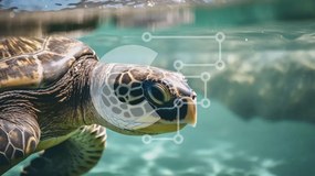 Intra Συλλεκτικό Ξύλινο Παζλ Plywood  4mm - Όμορφη θαλάσσια χελώνα σε καθαρά νερά Σε Ξύλινο Κουτί - Διαστάσεις: 10x10 cm – 25 κομμάτια