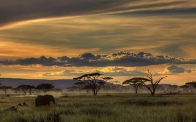 Φωτογραφία Africa, Amnon Eichelberg