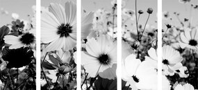 Ανοιξιάτικα λουλούδια λιβαδιών με 5 μέρη εικόνα σε μαύρο & άσπρο - 200x100