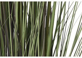 Διακοσμητικό Φυτό Home ESPRIT Πλαστική ύλη