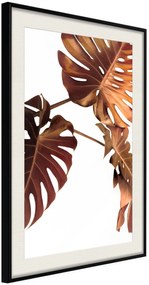 Αφίσα - Copper Monstera - 20x30 - Μαύρο - Με πασπαρτού