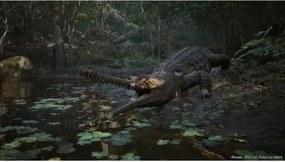 Βιντεοπαιχνίδι PlayStation 5 Just For Games