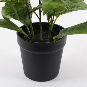 Διακοσμητικό φυτό σε γλάστρα Hydrangea Inart λευκό Φ35x50εκ