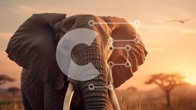 Σετ των 2 Intra Συλλεκτικό Ξύλινο Παζλ Plywood 4mm - Ελέφαντας στο ηλιοβασίλεμα στη Σαβάνα Σε Ξύλινο Κουτί - Διαστάσεις: 10x10 cm – 25 κομμάτια