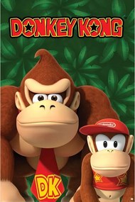 Αφίσα Nintendo - Donkey Kong And Diddy Kong