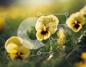 Intra Συλλεκτικό Ξύλινο Παζλ Plywood 4mm - Ομάδα κίτρινων λουλουδιών σε ένα χορταριασμένο χωράφι Σε Ξύλινο Κουτί - Διαστάσεις: 10x10 cm – 25 κομμάτια