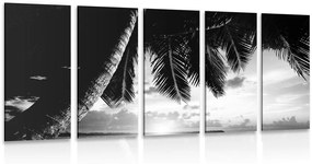 Εικόνα 5 μερών ανατολής σε παραλία της Καραϊβικής σε ασπρόμαυρο