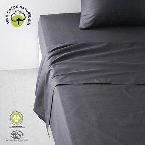 Σεντόνια Today  ORGANIC
