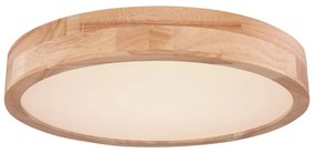 Φωτιστικό Οροφής Globo Lighting Rainer 41745-60