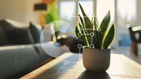 Intra Συλλεκτικό Ξύλινο Παζλ Plywood 4mm - Φυτό σε γλάστρα σε ξύλινο τραπέζι στο σαλόνι Σε Ξύλινο Κουτί - Διαστάσεις Puzzle: 10x10 cm – 25 κομμάτια