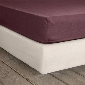 Σεντόνι Unicolors Με Λάστιχο Deep Bordo Nima Μονό 100x232cm 100% Βαμβάκι