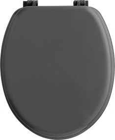 Καπάκι Λεκάνης (45.5x37) L-C Vitamine Charcoal Grey 1802154