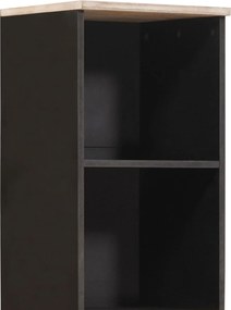 vidaXL Ντουλάπι Μπάνιου με ράφι Μαύρο και Λευκό 38 x 33 x 160 εκ.