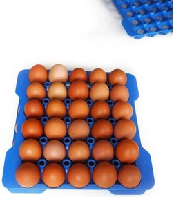 Σετ 4τεμ. ΔΙΣΚΩΝ ΑΠΟΘΕΥΣΗΣ 30 ΑΥΓΩΝ GN 2/3 290x290x40mm 73056 - Araven