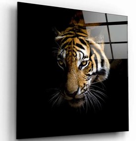 Πίνακας Γυάλινος 231MDF1444 80x80cm Multi Wallity Square Glass