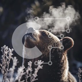 Intra Συλλεκτικό Ξύλινο Παζλ Plywood 4mm - Μεγαλοπρεπής αρκούδα σε ένα χειμερινό τοπίο Σε Ξύλινο Κουτί - Διαστάσεις: 10x10 cm – 25 κομμάτια