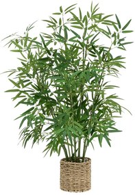 Φυτό σε γλάστρα Belica pakoworld Φ45x100εκ