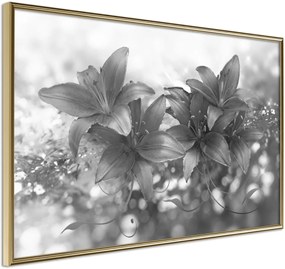 Αφίσα - Dark Lillies - 30x20 - Χρυσό - Χωρίς πασπαρτού