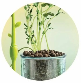 Παιχνίδι Επιστήμης Clementoni CLEMENTONI