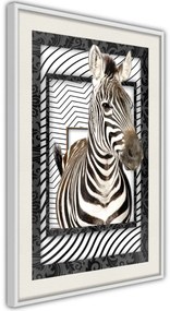 Αφίσα - Zebra in the Frame - 30x45 - Μαύρο - Χωρίς πασπαρτού