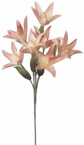 Τεχνητό Λουλούδι Κρίνος 00-00-6125-2 40x95cm Ecru-Pink Marhome Foam