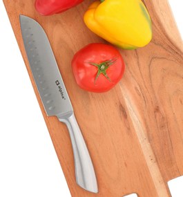 Μαχαίρι Santoku (31.5εκ.) Alpina 871125287006