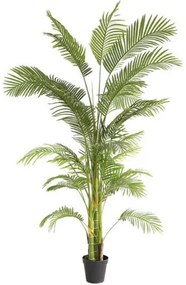 New plan PALM TREE  NP5500_240_22 ΥΨΟΣ 240cm Τεμαχιο