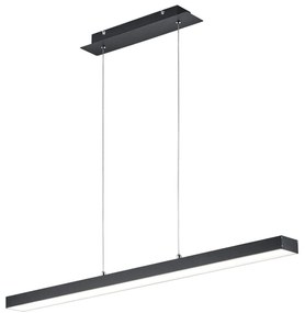 Φωτιστικό Κρεμαστό RL Lighting Agano R32801132 Μαύρο Ματ