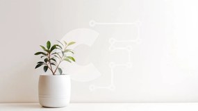 Intra Συλλεκτικό Ξύλινο Παζλ Plywood  4mm - Μικρό αειθαλές δέντρο σε λευκό κεραμικό δοχείο Σε Ξύλινο Κουτί - Διαστάσεις: 10x10 cm – 25 κομμάτια